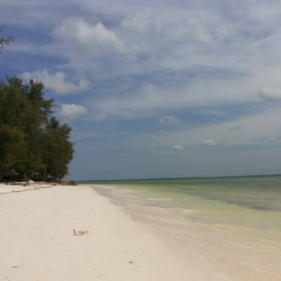 Palumbo Reef *** Uroa - Zanzibar 