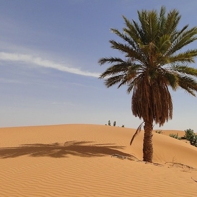 Dal Sahara all’Oceano 