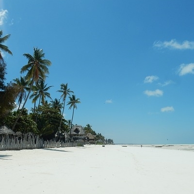 Simba Safari e mare a Zanzibar 