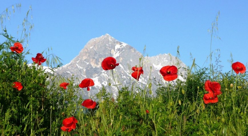 Parco Nazionale d'Abruzzo, Lazio e Molise 