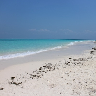 Pumba Safari e mare a Zanzibar 