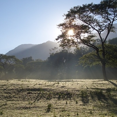 Safari nel Selous Game Reserve Mare a FanJove 