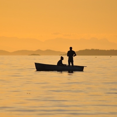 Pemba Safari - Isola di Pemba - 